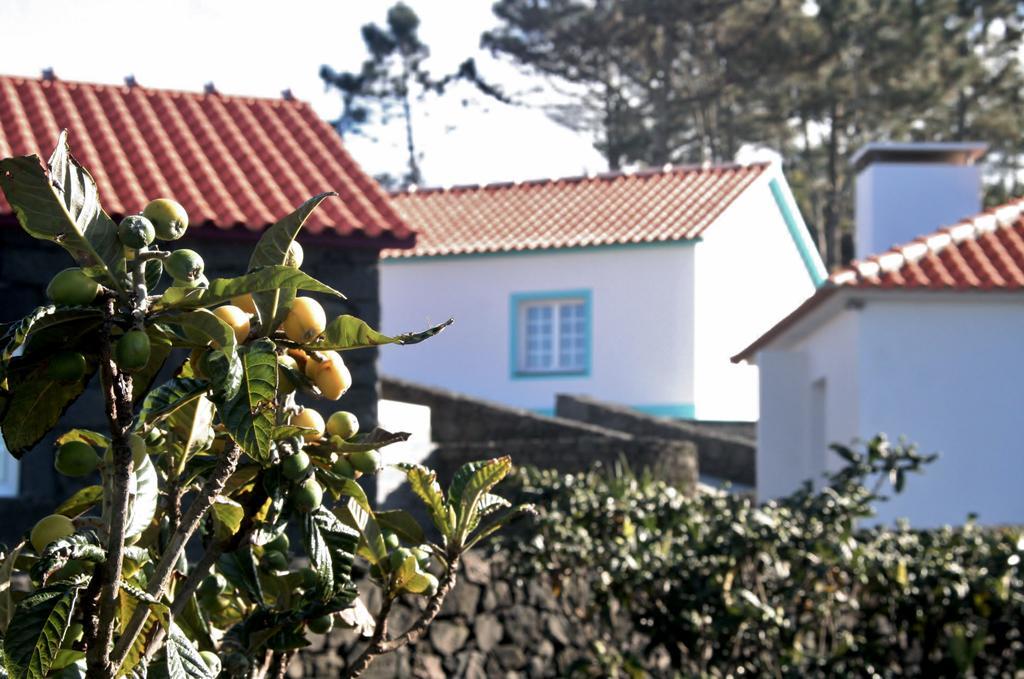 Yes Pico Ξενοδοχείο Santa Luzia  Εξωτερικό φωτογραφία